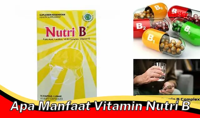 Temukan Manfaat Vitamin Nutri B yang Tak Banyak Diketahui