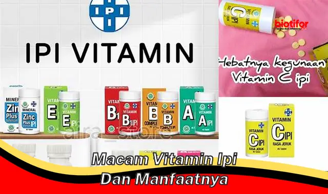 Temukan Berbagai Macam Vitamin IPI Beserta Manfaat Menakjubkannya Yang ...