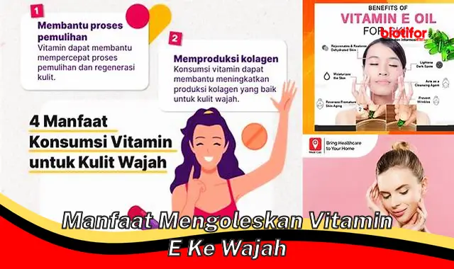 manfaat mengoleskan vitamin e ke wajah