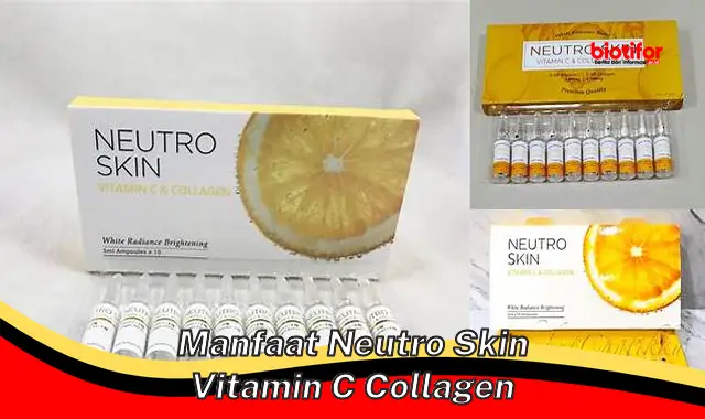 manfaat neutro skin vitamin c collagen