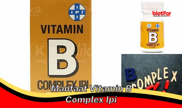 manfaat vitamin b complex ipi