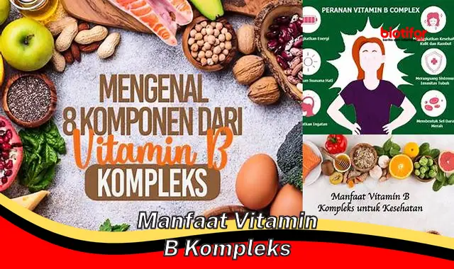 manfaat vitamin b kompleks