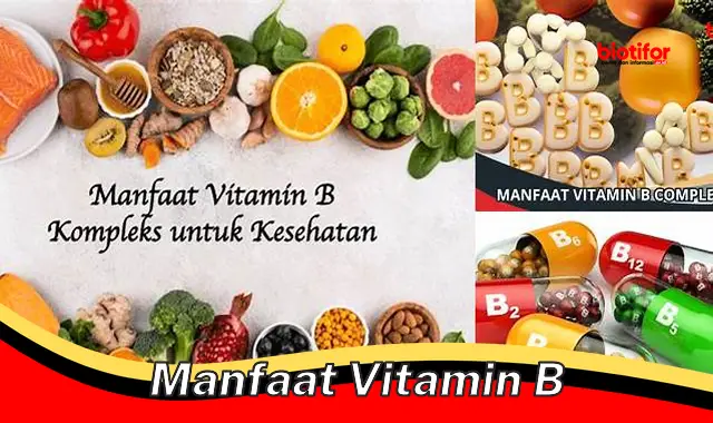 Temukan 5 Manfaat Vitamin B Yang Perlu Anda Tahu - Biotifor