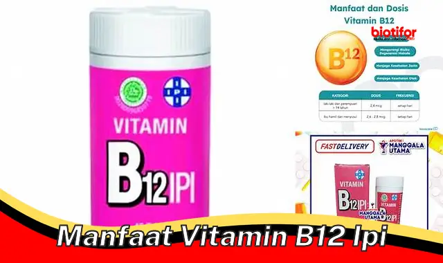 manfaat vitamin b12 ipi