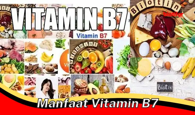 manfaat vitamin b7