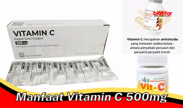 manfaat vitamin c 500mg