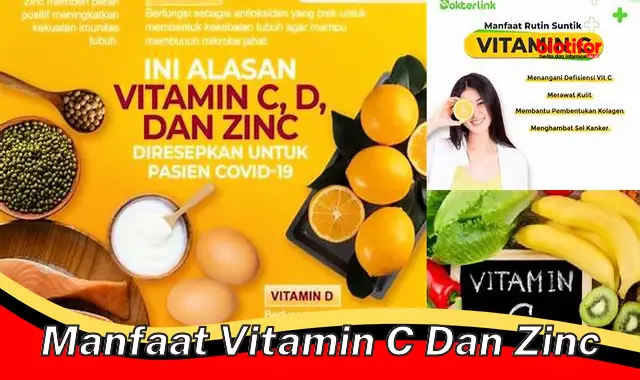 manfaat vitamin c dan zinc