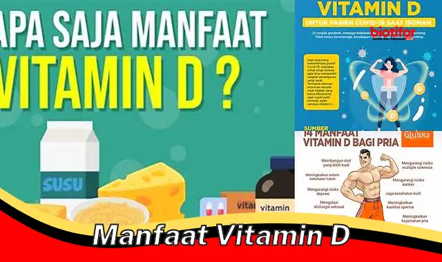 manfaat vitamin d