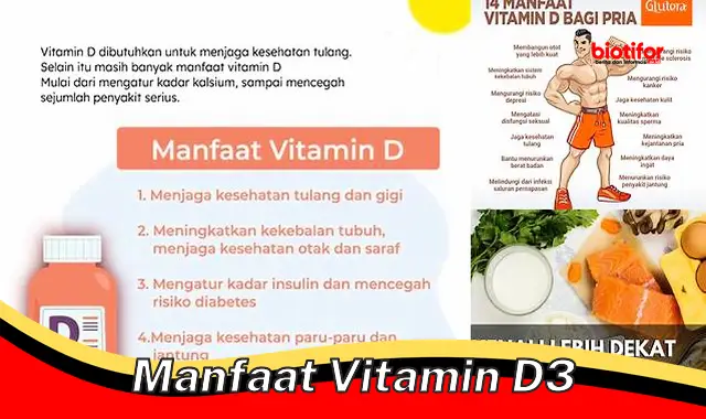 manfaat vitamin d3