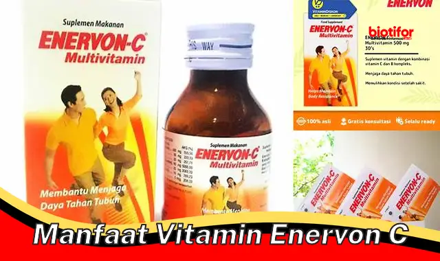 manfaat vitamin enervon c