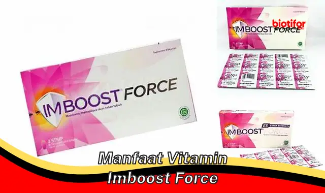 manfaat vitamin imboost force