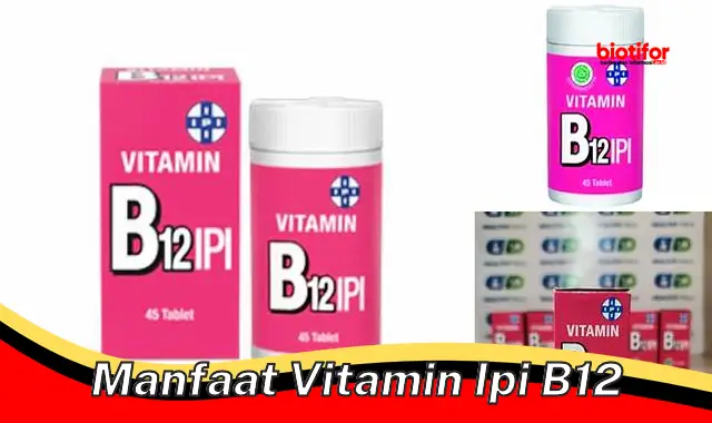 manfaat vitamin ipi b12