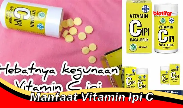 manfaat vitamin ipi c