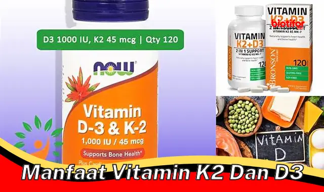 manfaat vitamin k2 dan d3