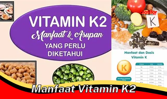 manfaat vitamin k2