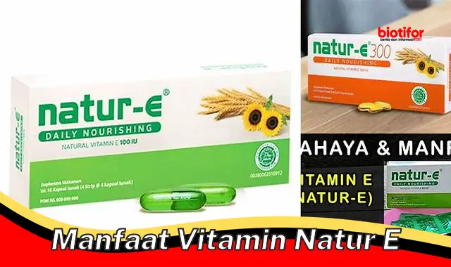 manfaat vitamin natur e