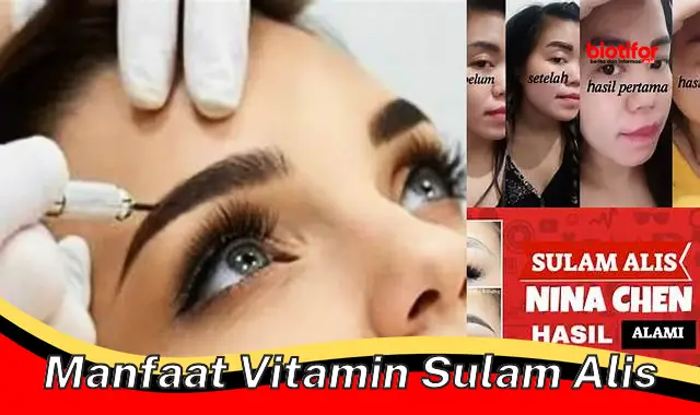 manfaat vitamin sulam alis