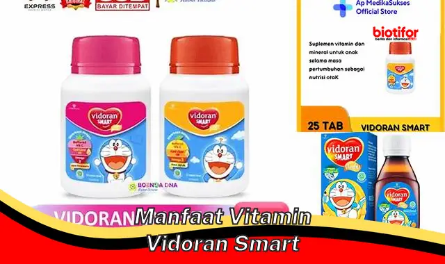 manfaat vitamin vidoran smart