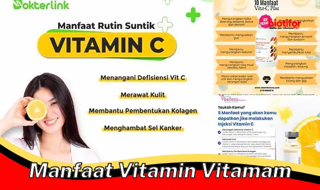 manfaat vitamin vitamam