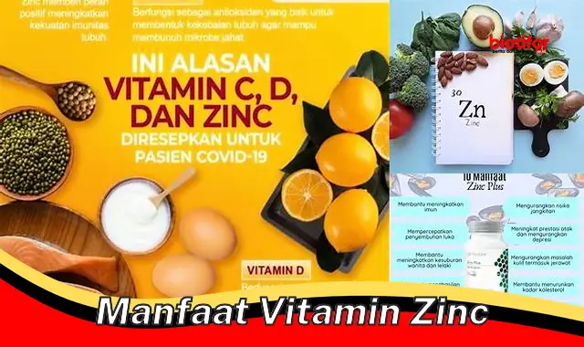 manfaat vitamin zinc