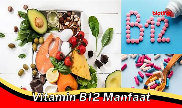 vitamin b12 manfaat