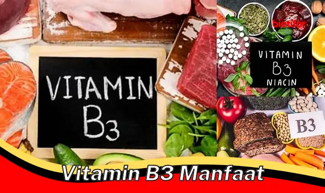 vitamin b3 manfaat