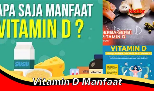 vitamin d manfaat