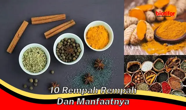 10 rempah rempah dan manfaatnya