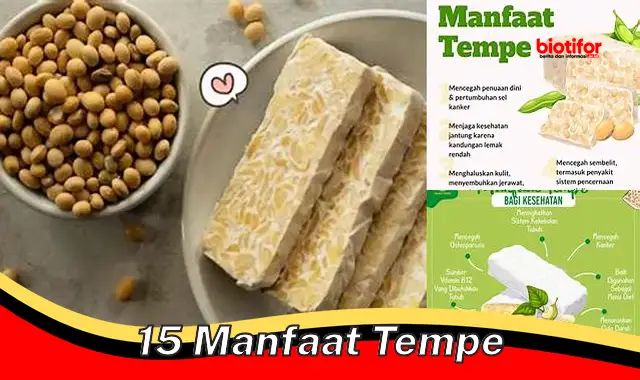 Temukan 15 Manfaat Tempe Langka yang Belum Banyak Diketahui