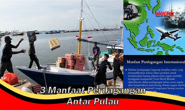 3 manfaat perdagangan antar pulau