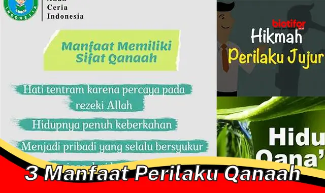 Temukan 3 Manfaat Perilaku Qanaah yang Jarang Diketahui