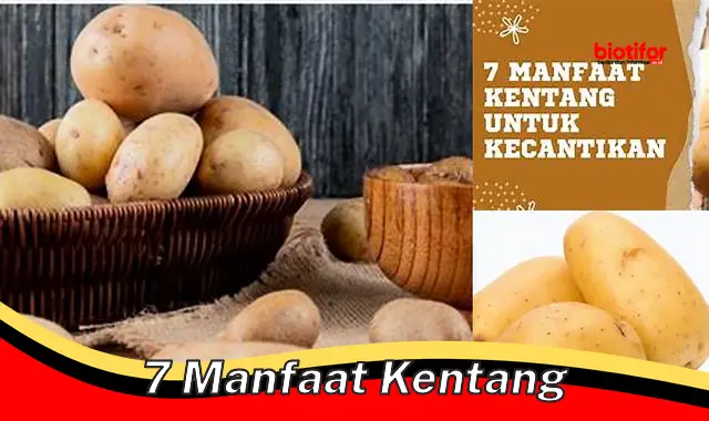 7 manfaat kentang