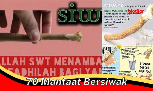 Temukan 70 Manfaat Bersiwak yang Jarang Diketahui