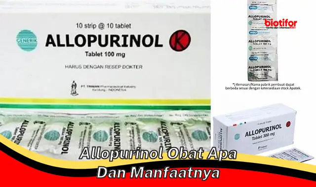 allopurinol obat apa dan manfaatnya