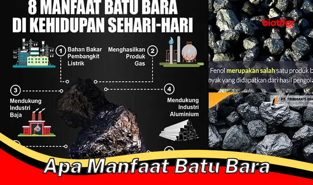 apa manfaat batu bara