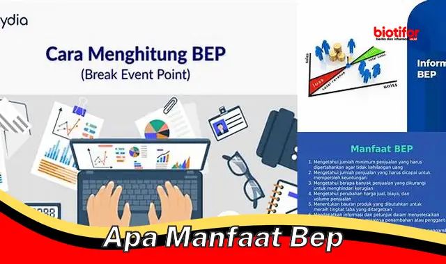 apa manfaat bep