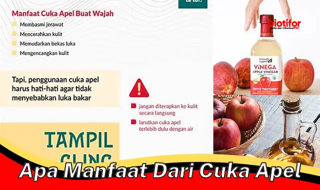 apa manfaat dari cuka apel