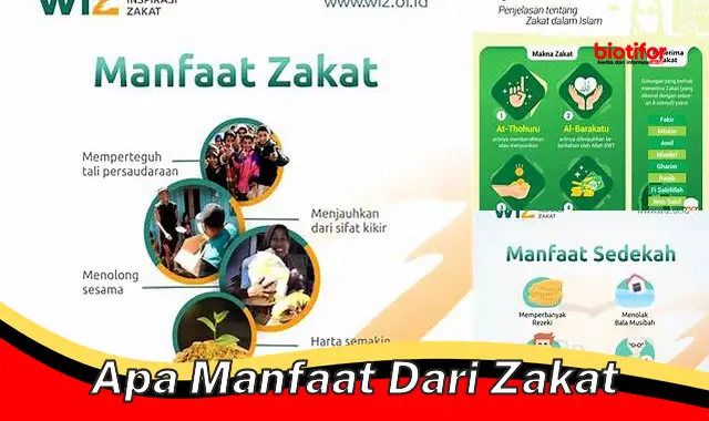 apa manfaat dari zakat