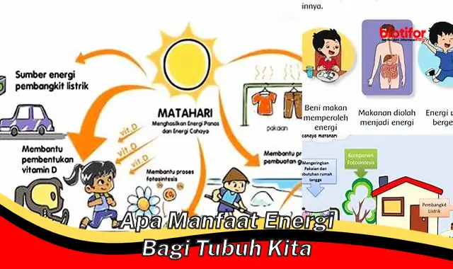 apa manfaat energi bagi tubuh kita