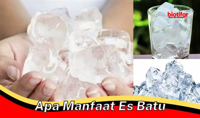 apa manfaat es batu