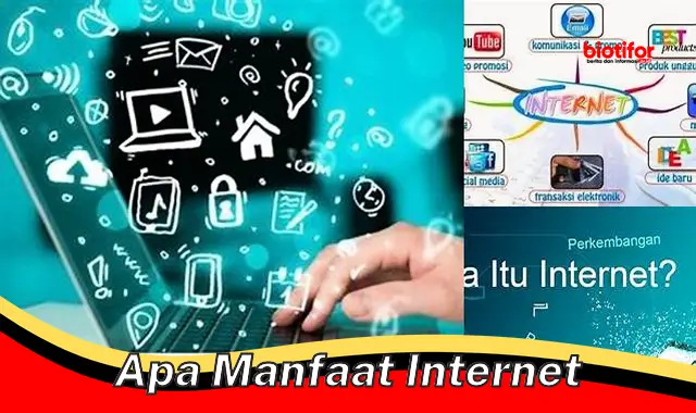 apa manfaat internet