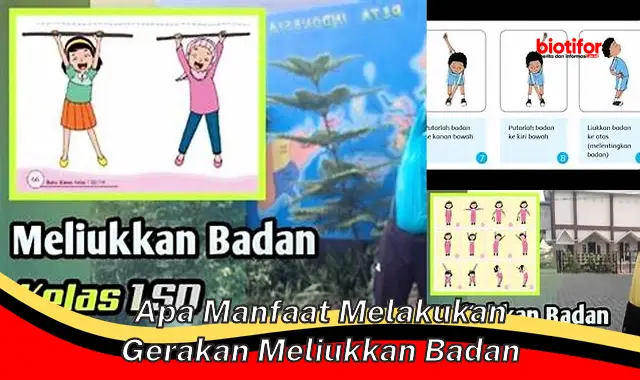 apa manfaat melakukan gerakan meliukkan badan