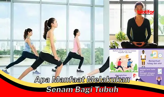 apa manfaat melakukan senam bagi tubuh