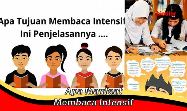 Temukan Manfaat Membaca Intensif yang Jarang Diketahui