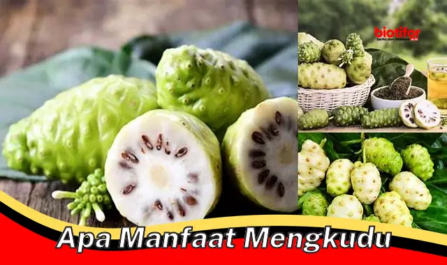 apa manfaat mengkudu