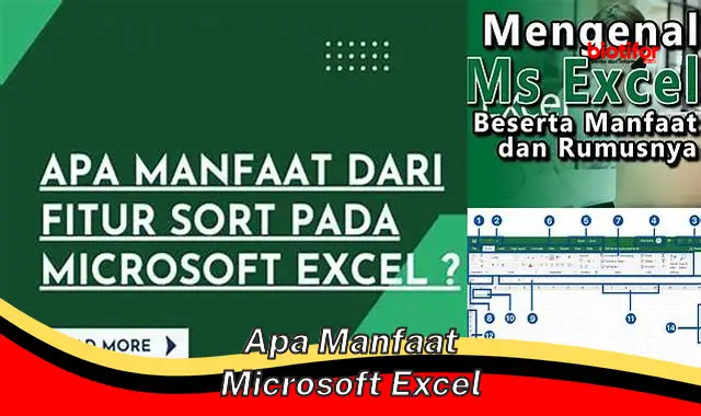 Temukan 5 Manfaat Microsoft Excel yang Perlu Anda Ketahui