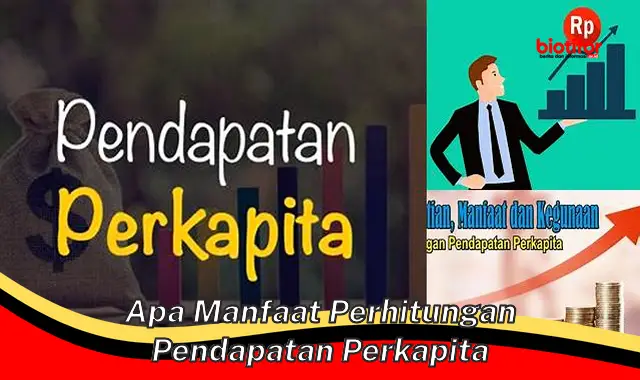 Temukan 5 Manfaat Perhitungan Pendapatan Perkapita yang Jarang Diketahui