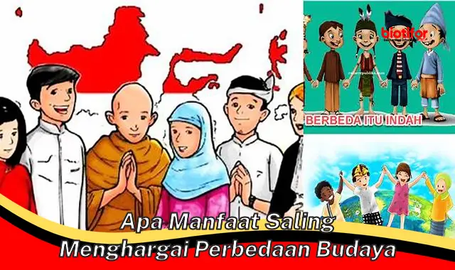 apa manfaat saling menghargai perbedaan budaya