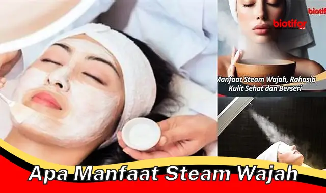 apa manfaat steam wajah