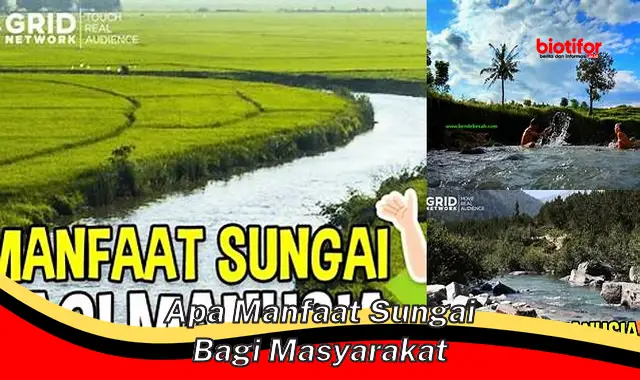 5 Manfaat Sungai untuk Masyarakat yang Jarang Diketahui